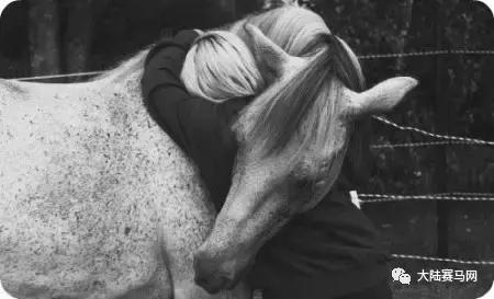 马术治疗不仅对自闭症有作用，而且开始被用于戒毒