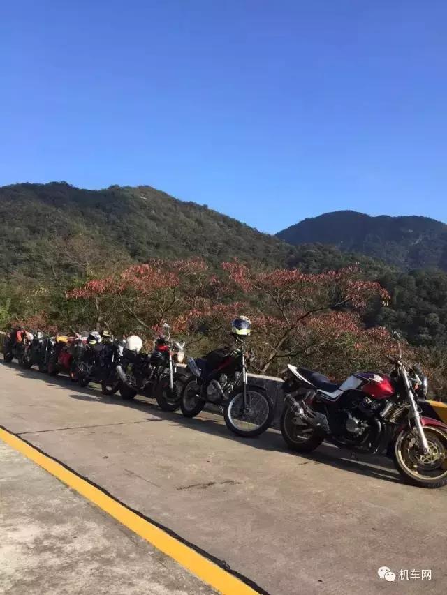 车友风采，中毒了，不骑不行，心痒难耐