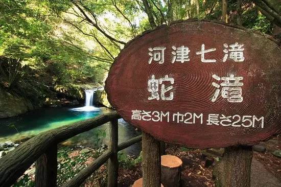 樱花短途旅行包大容量,樱花三月去踏青加长版