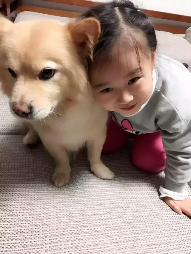 长沙人爱养什么品种的鸟,长沙人为什么喜欢养乌龟