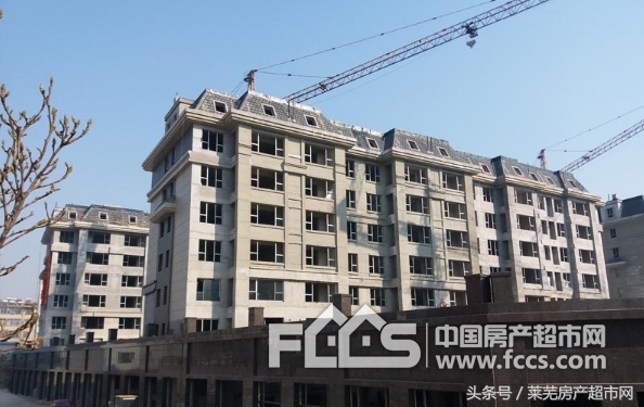 城区买房必看楼盘,莱城区房价最新消息