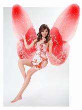 不知日落月生多少个夏秋《完美世界》