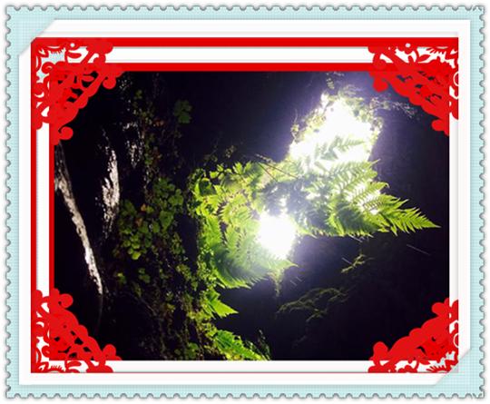 成都自驾游三亚攻略,成都自驾海南三亚旅游攻略