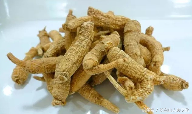 长白山西洋参和人参区别,长白山人参真有那么神奇的功效吗