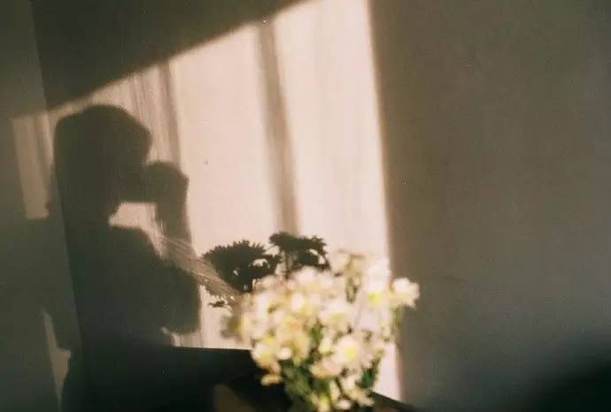 郑爽：我想静静，所以开个小号