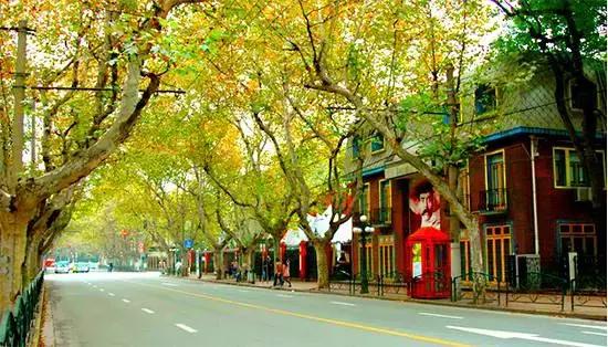 上海各条地铁线沿途景点大全,上海最惊艳的地铁路线