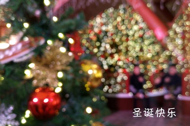 一步一步学摄影,一步一步教你学手机画画