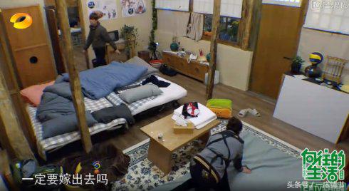 何炅和何老师现状,何炅为什么被叫何老师