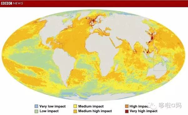全家老小一起补充营养,全家人的营养补充