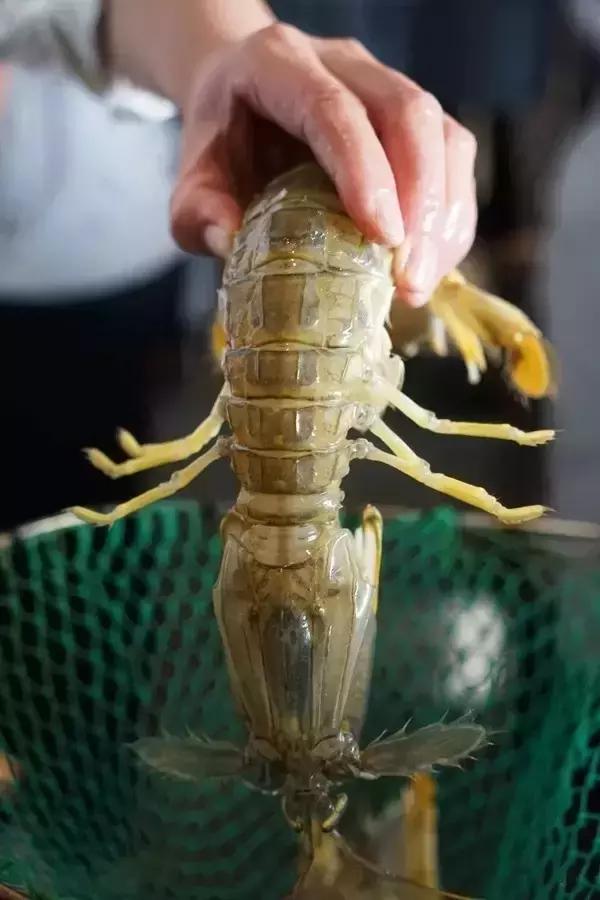 11大商场45家好吃餐厅，上海各大商场觅食指南，逛到哪吃到哪