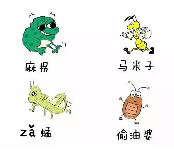 你是不是正宗郴州人?一句话就可以证明!