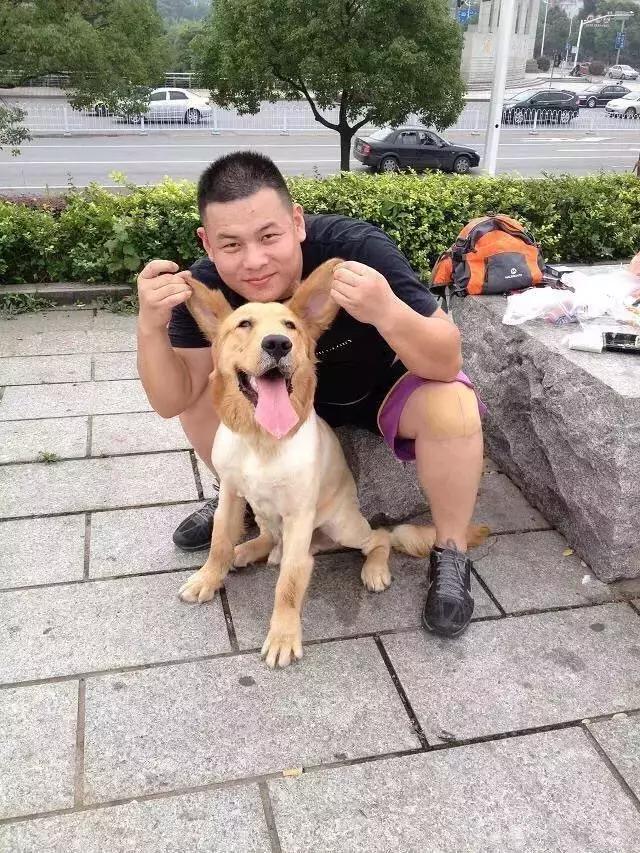 长沙人爱养什么品种的鸟,长沙人为什么喜欢养乌龟