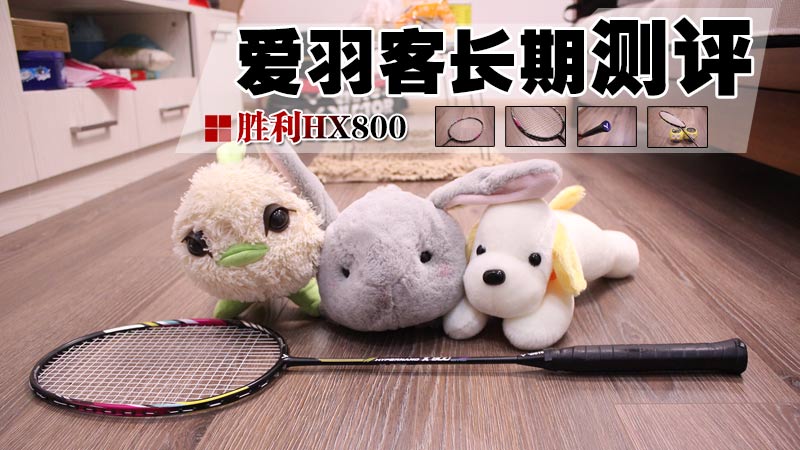 hx800羽毛球拍多少钱,羽毛球拍测评200元