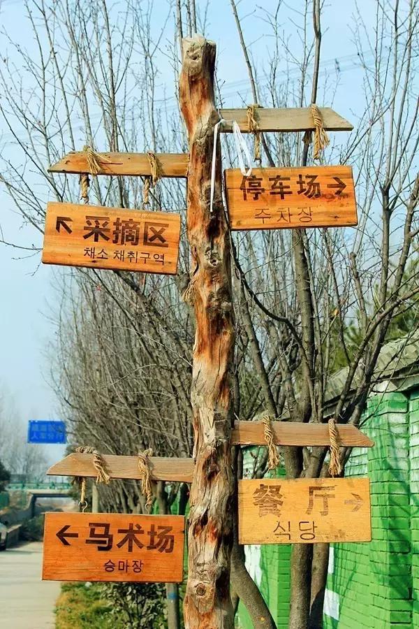 户县新西兰农场好玩吗,西安户县农场