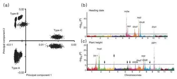 2021年中国科技成果回顾总结,2021年中国重大科技