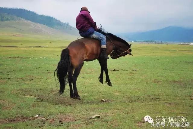全球最具吸引力的狩猎圣地，加入高人一等的国际猎人组织！