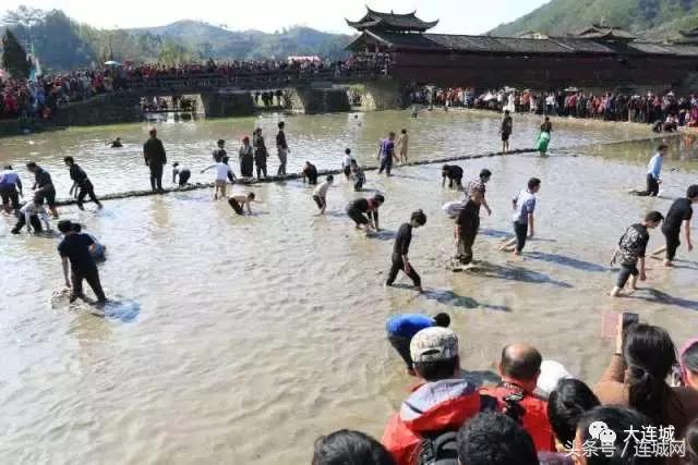 二月二龙抬头福建人,福建连城二月二龙抬头