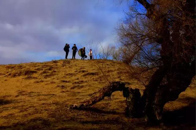 内蒙古通辽市奈曼旗沙漠旅游景点,内蒙古通辽沙漠旅游景点