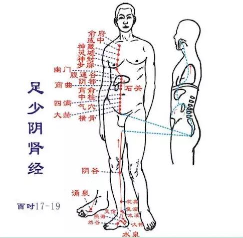经络调理秘诀小程序,经络治百病