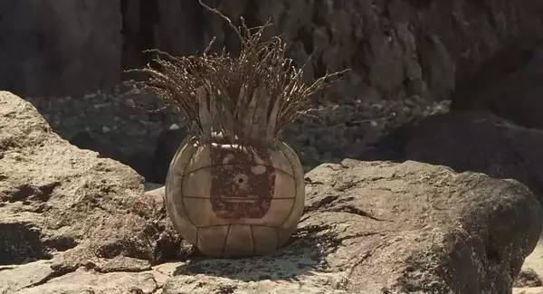 一个排球给他活下去的力量：《荒岛余生》未拆的包裹是什么