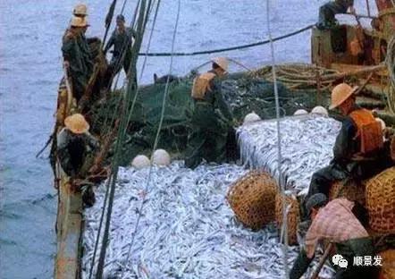 天下渔仓有机鱼,天下渔仓椒江店地址