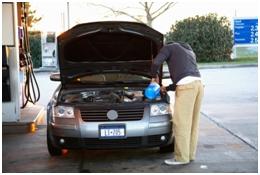 跑完高速车上的虫子怎么处理,车子跑过高速虫子要及时清理吗