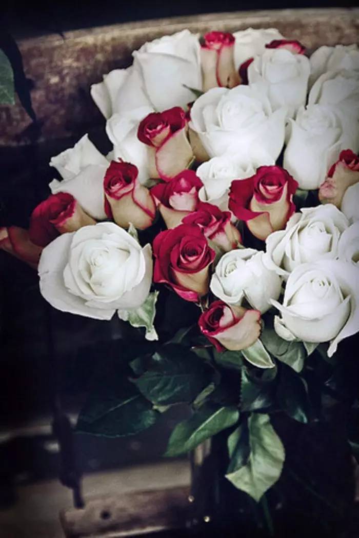 情人节送玫瑰的花语和寓意,粉玫瑰和紫玫瑰的花语