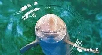 疼！一个铁钩，钩住的是全人类的的心