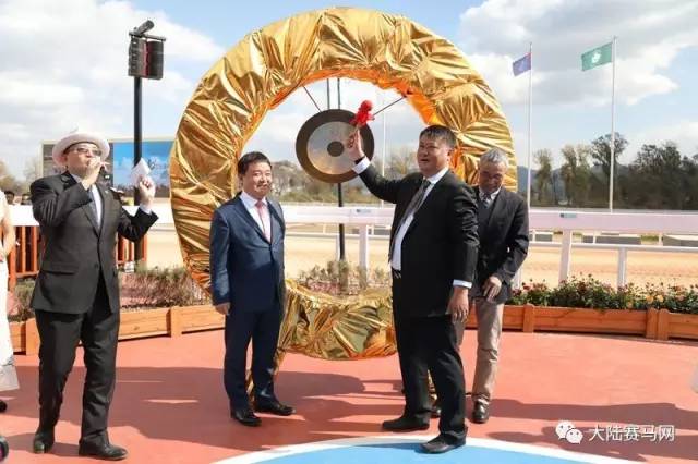 中国马业排名前十名,中国马业十大风云人物