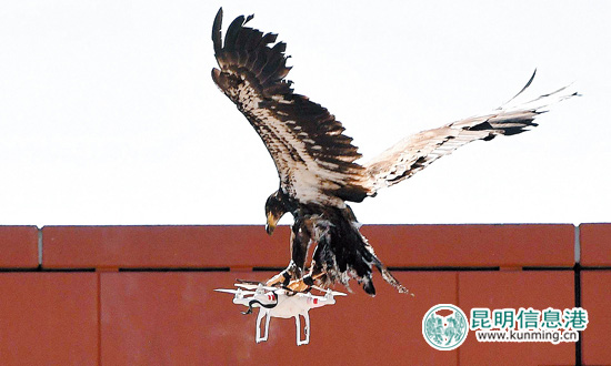 无人机空中抓拍违章,无人机空中巡查违法