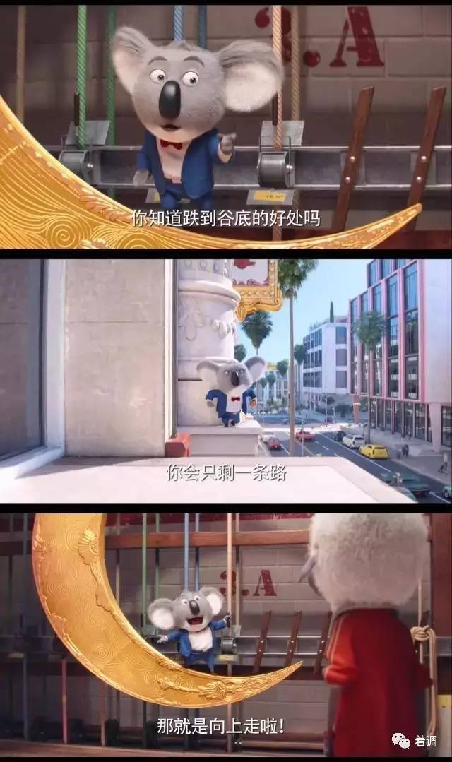 动物好声音所有歌曲,动物好声音