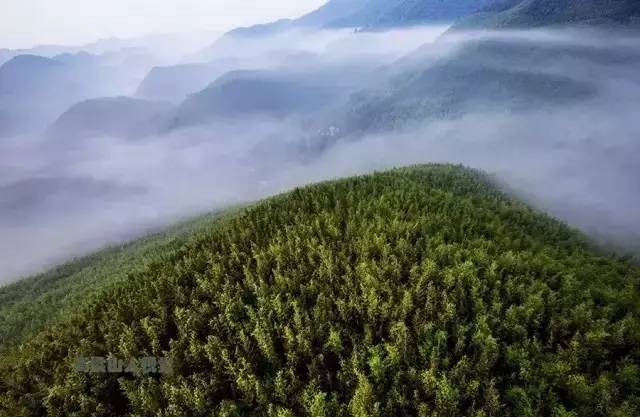 重庆最富有的8个区县 (重庆最发达的10个区县)