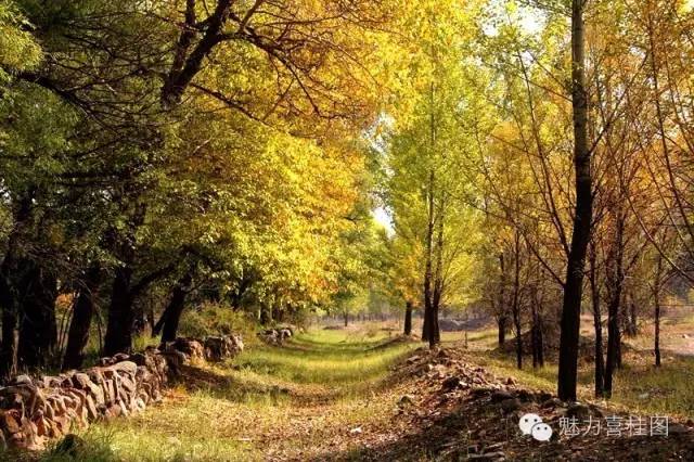鍘熷鐭虫礊閮ㄨ惤璧板涔犱織,鐭虫嫄姘戜織