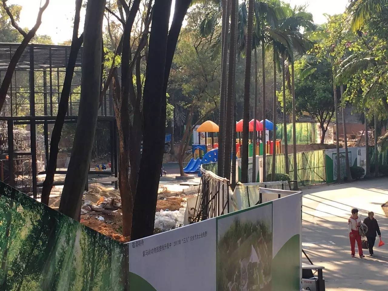 中山动物园有熊猫吗,中山公园动物园春节开放了吗