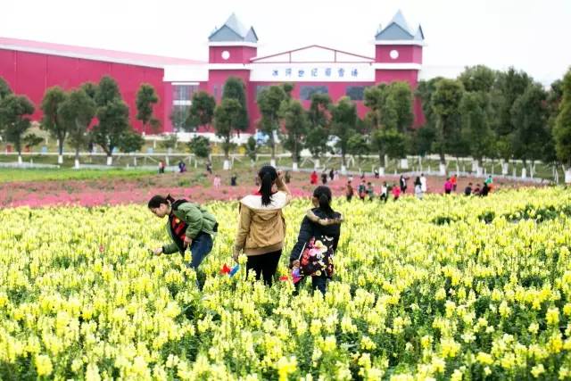 南宁游玩踏青攻略路线推荐,南宁春游赏花攻略图