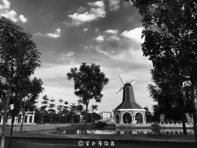 南宁游玩踏青攻略路线推荐,南宁春游赏花攻略图