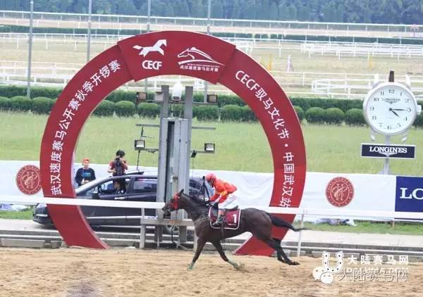2014马术文化节,内蒙古第二届中国马文化节