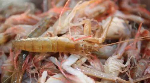 威海的海鲜什么时候是旺季,威海应季海鲜