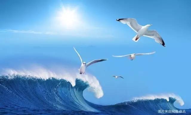 鍚堢旱杩炴í2015,鍚堢旱杩炴í2016