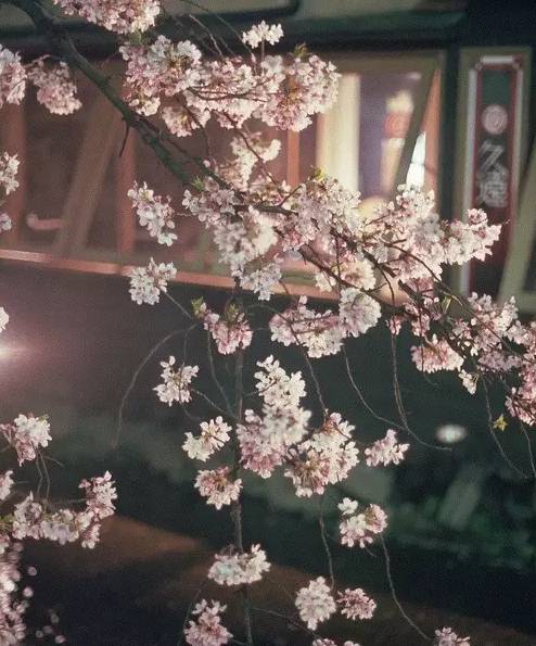 小学成语分类整理大全,这份成语分类大全替孩子存下吧