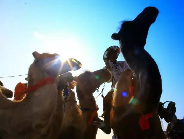 内蒙古通辽市奈曼旗沙漠旅游景点,内蒙古通辽沙漠旅游景点