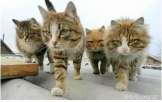 钢材销售员的一天，简直太形象了！笑喷……