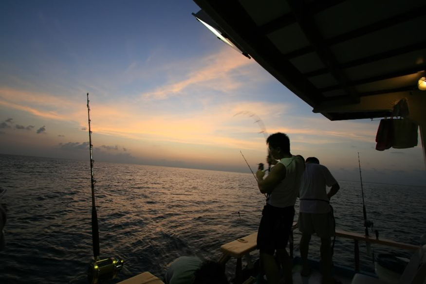 萨芙莉岛值不值得去,萨芙莉岛攻略