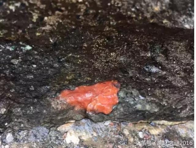 南红之谜大全集,南红之谜全集完整版