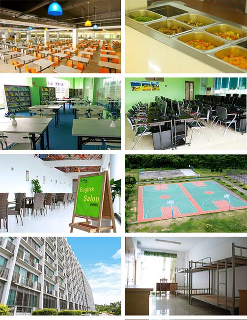 零基础学商务英语口语如何入手,商务英语零基础应该怎么学