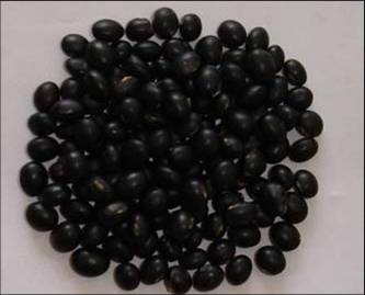 体内湿气重怎样祛除瘦小肚子,体内湿气重怎样祛除女人