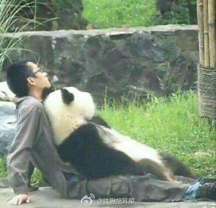 中国十大最火的外国网红,抖音百万网红姐弟抱大腿