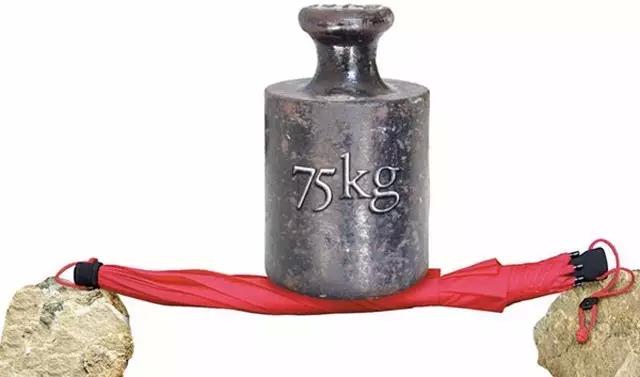 行走的黑*器武**，宇宙最耐操的雨伞