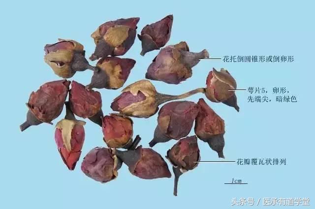 中药红花最多能喝多长时间,中药红花最佳使用方法