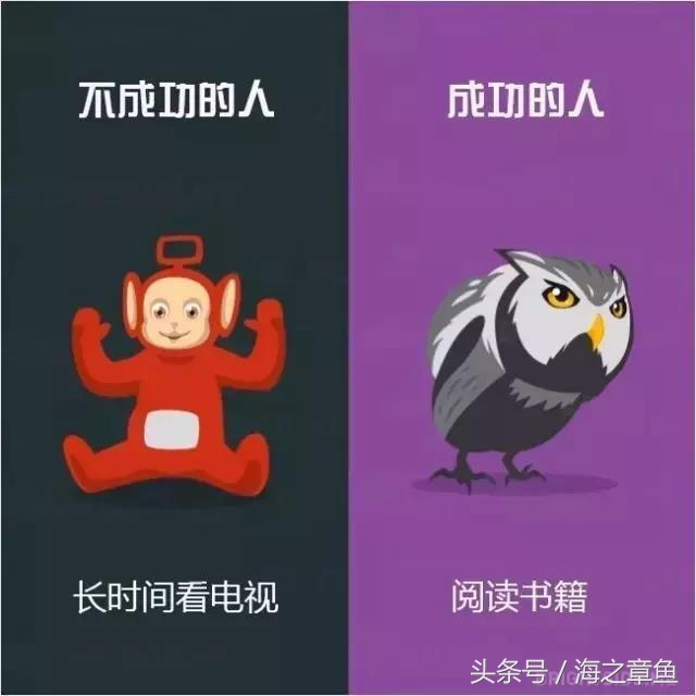 成功者与失败者的区别图文,成功者和失败者的本质区别图片